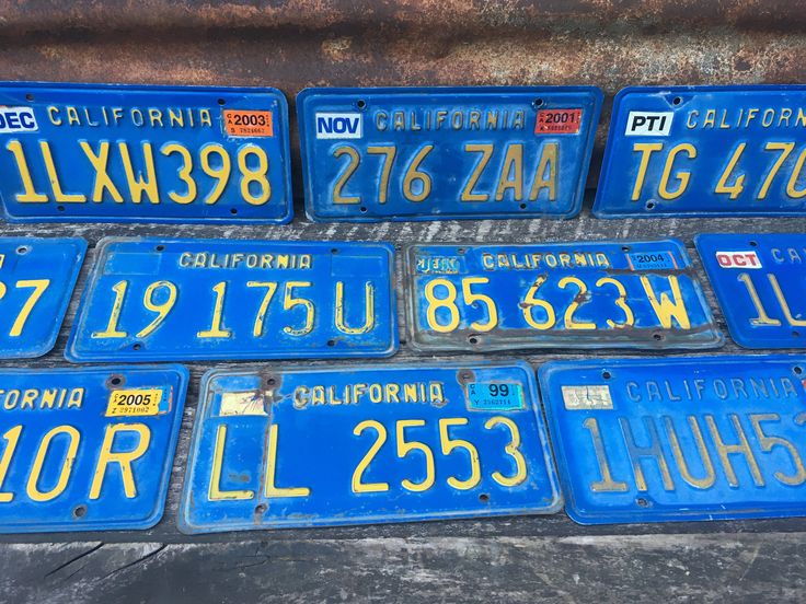 zar license zar license