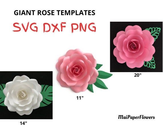 Download Large Paper Rose Template Svg Pdf Dxf Png 10 11 Giant Paper Rose Svg 3d Rose Svg Large Paper Flower Svg Giant Paper Flower Svg Files Cricut Party Supplies Party Decor Voicebd24 Com