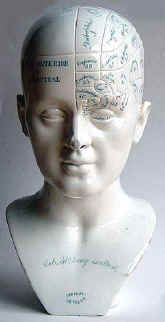 Antique Phrenology Busts Head Medical Antique Phrenology Busts