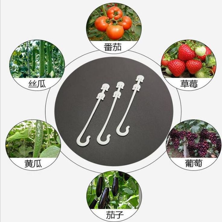 50pcs Plant Support Clips Clamps Garden Tomato Vine Greenhouse Vegetables Tie 50pcs Plant Support Clips Clamps Garden Tomato Vine Greenhouse Vegetables Tie