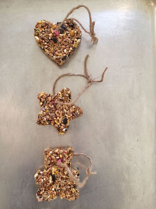DIY Birdseed Feeder to Celebrate RSPB's Big Garden Birdwatch Weekend DIY Birdseed Feeder to Celebrate RSPB's Big Garden Birdwatch Weekend