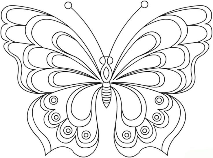 schmetterling vorlage malen 596 Malvorlage Vorlage Ausmalbilder Kostenlos, schme...