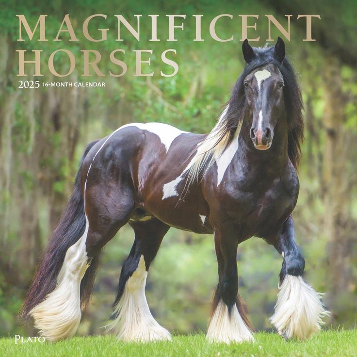 Magnificent Horses 2025 12 X 24 Inch Monthly Square Wall Calendar Foil 5a4ef9f94427184a0a87181252ebaf9f
