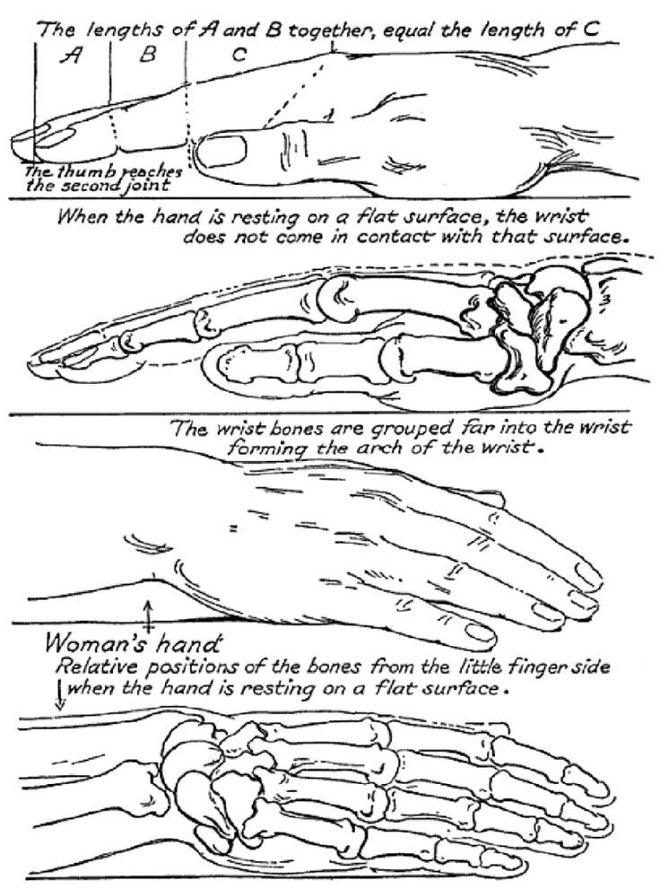 This tutorial shows how to draw different hand poses. The examples