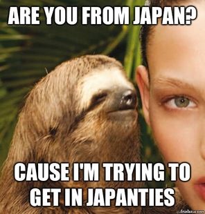 24 best funny sloths! dddd images on pinterest ha ha, funny 5a6915097c566afd9ee35dc2ddcbb904 funny sloth sloth memes 24 best funny sloths! dddd images on pinterest ha ha, funny
