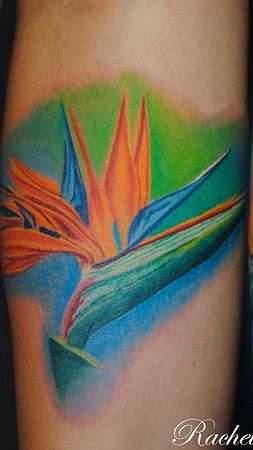 birds of paradise flower tattoo google search tattoos birds of paradise flower tattoo google search tattoos