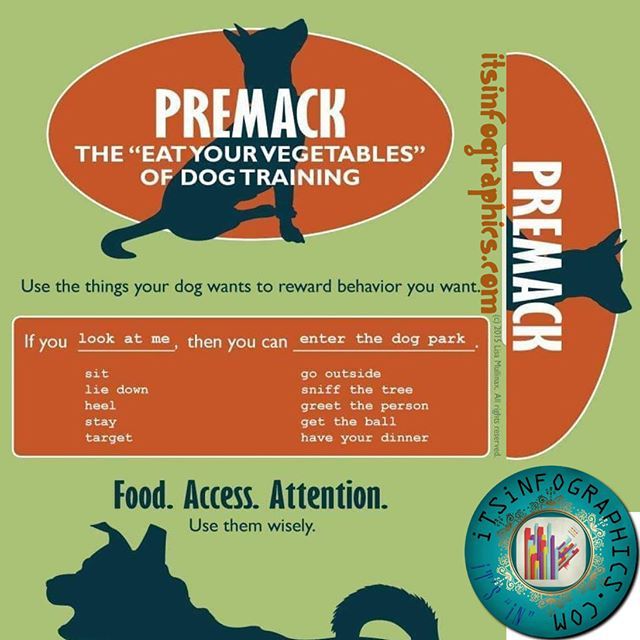 If This Then That The Premack Principle Itsinfographics Com