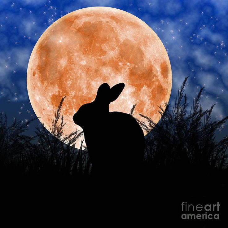 Nacht Hase | Moon art, Harvest moon, Bunny art Nacht Hase | Moon art, Harvest moon, Bunny art