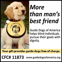 Can My Cocker Spaniel Be Trained As A Therapy Dog Can My Cocker Spaniel Be Trained As A Therapy Dog