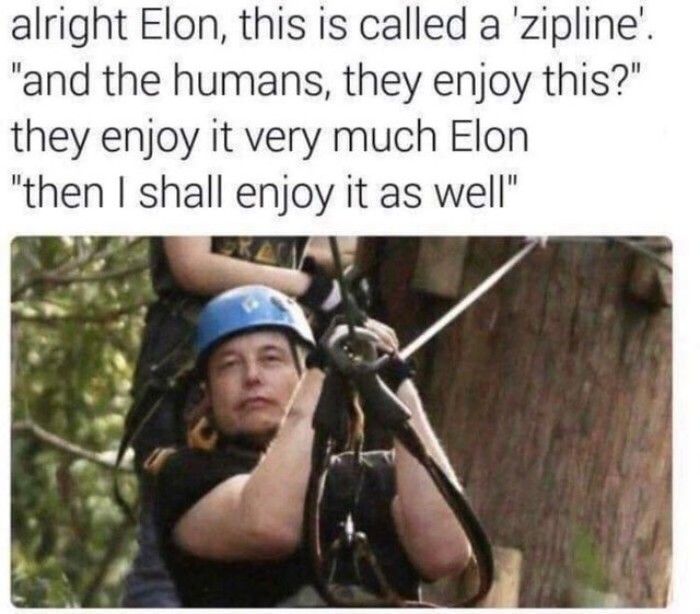 It S A Zipline Humor Silly Pictures Funny Pictures Memes