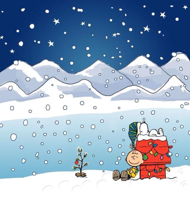 25 best charles schulz images on pinterest charlie brown 25 best charles schulz images on pinterest charlie brown