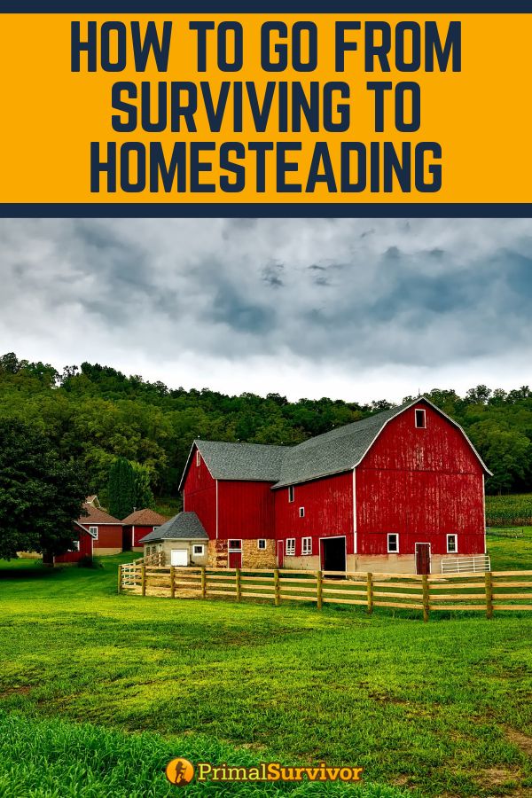 Here are some options on how to secure your homestead site after SHTF. #shtf #pr...