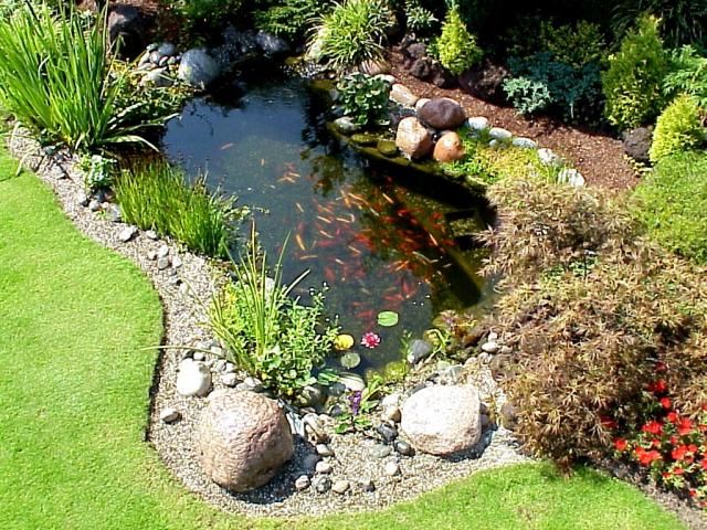 Die besten 25+ Goldfischteich Ideen auf Pinterest Outdoor - gartenanlagen mit teich Die besten 25+ Goldfischteich Ideen auf Pinterest Outdoor - gartenanlagen mit teich