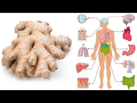 Effektiv den unteren Bauchspeck loswerden/ 3 Hammerübungen!! - YouTube