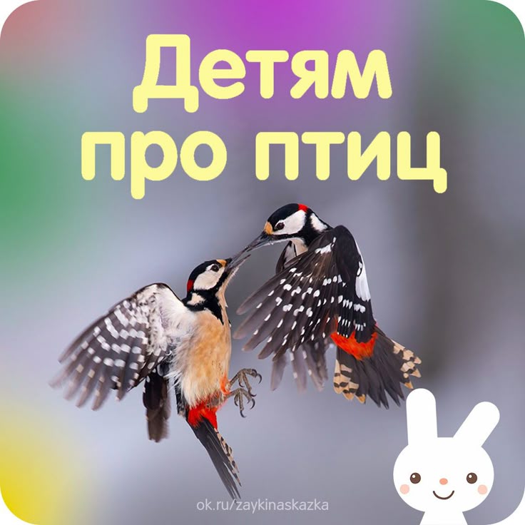 Фильмы научные о марихуане Фильмы научные о марихуане tor browser windows 7 32 bit hidra