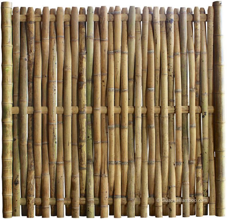 Best 25+ Bamboo fencing ideas on Pinterest Terrace, Tuin and String lights outdoor