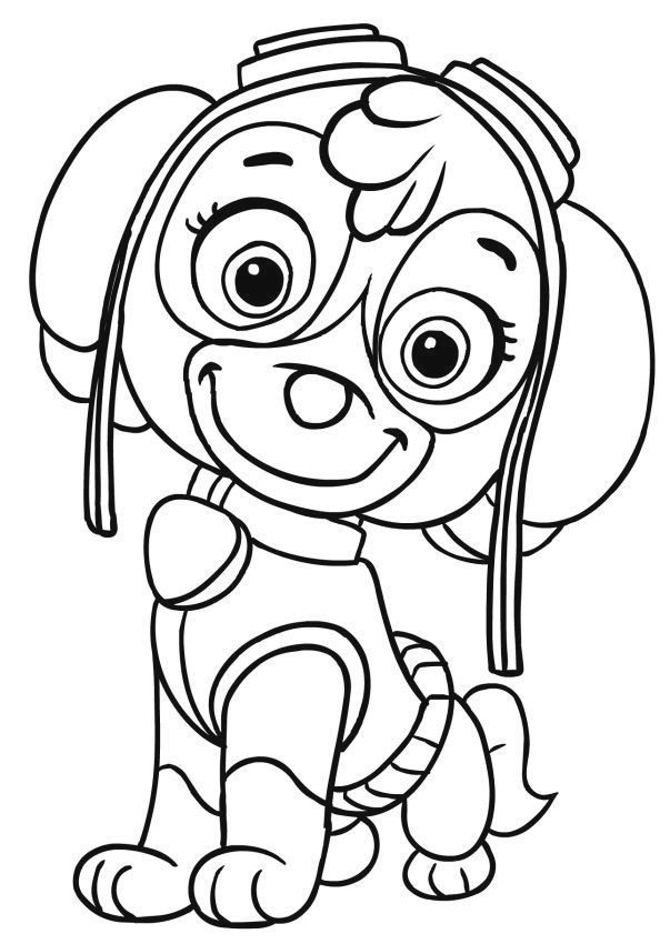 Skye De Paw Patrol Para Colorear Página Patrulha canina