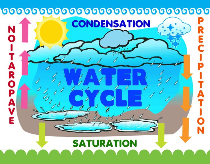 science fair poster designs