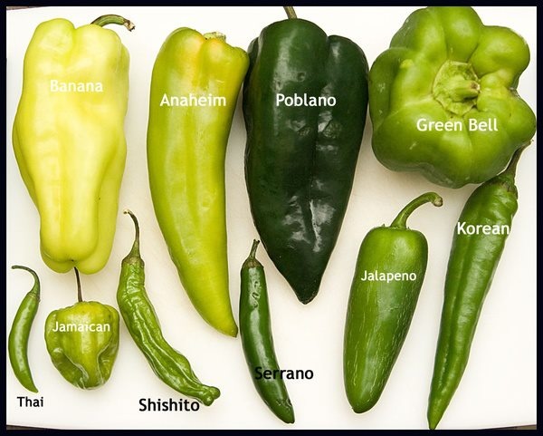 benefits of having hot peppers 45 best chilli chili peppers images on pinterest benefits of having hot peppers 45 best chilli chili peppers images on pinterest