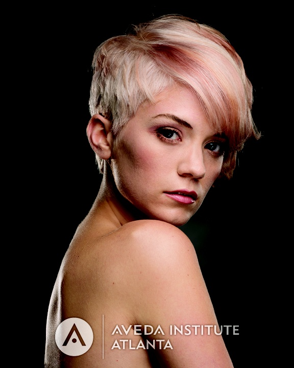 Essay for aveda institute