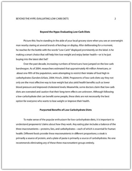 apa style example essay