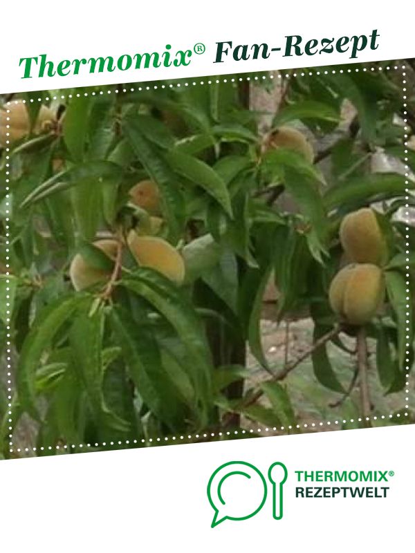 Pfirsichmarmelade mit Amaretto von Rubecula. Ein Thermomix ® Rezept aus ...