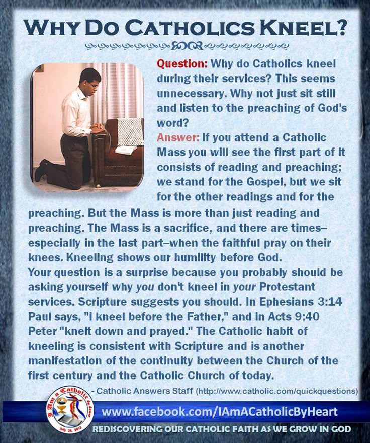 catholic essay why The following essays are short and to the point they are designed to make critics of the catholic church reconsider their positions. catholic essay why The following essays are short and to the point they are designed to make critics of the catholic church reconsider their positions.