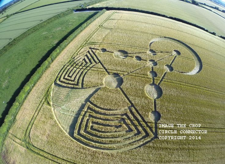 an aerial view of a field with circles in it