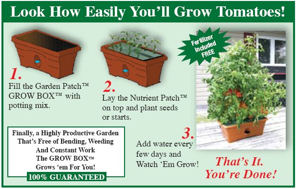 Tomato Lovers :: The Garden Patch | Garden, Grow boxes, Container gardening