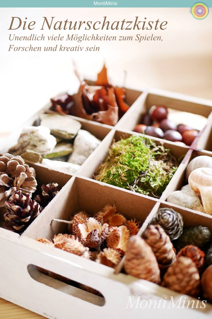 Basteln mit Naturmaterialien: Eine Kiste voll mit Naturschätzen