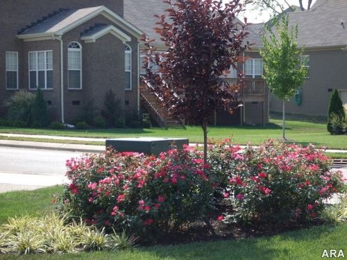 Outdoor Garden Ideas House 49 best hiding utility boxes in yard images on pinterest Outdoor Garden Ideas House 49 best hiding utility boxes in yard images on pinterest
