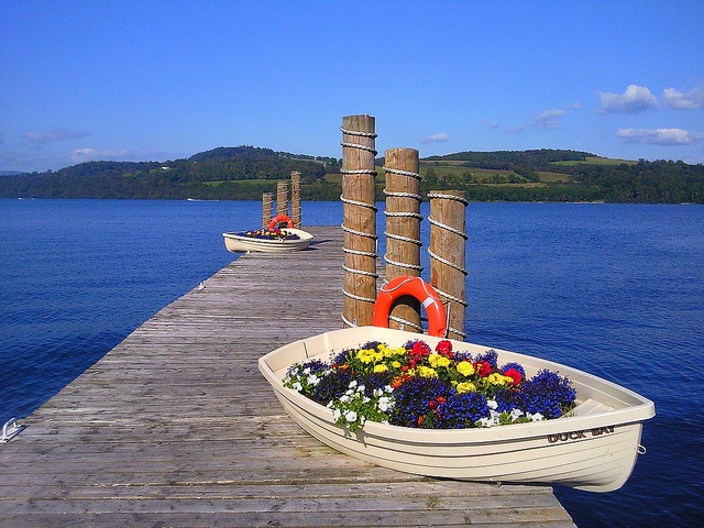 77 creative garden design ideas you'll absolutely love!