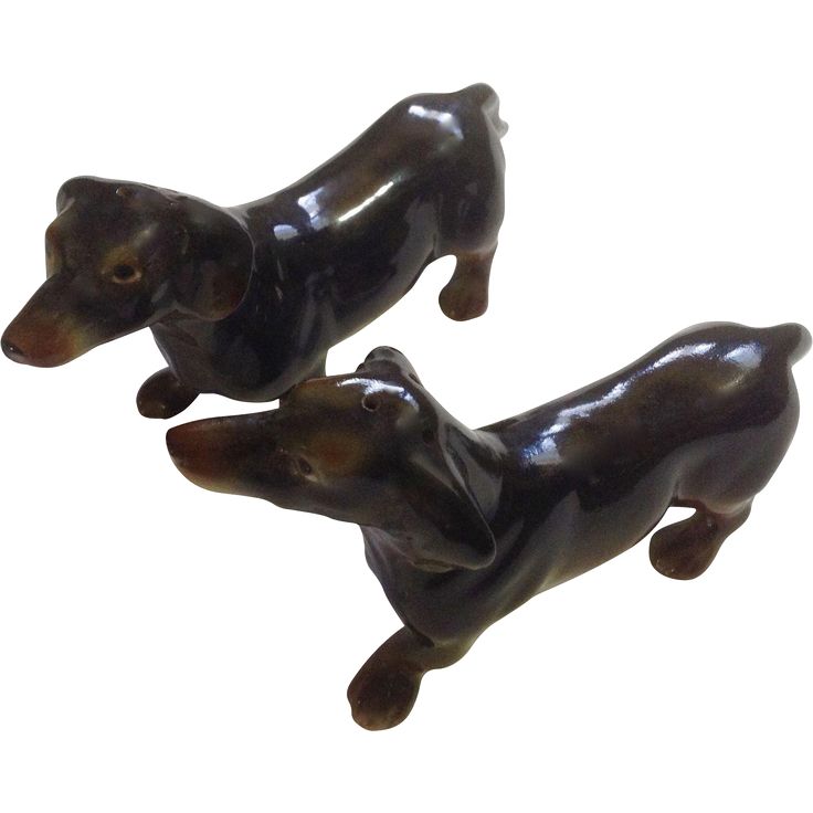 doxin dogs best 25 doxin ideas on dachshund wiener dogs and baby dachshund doxin dogs best 25 doxin ideas on dachshund wiener dogs and baby dachshund