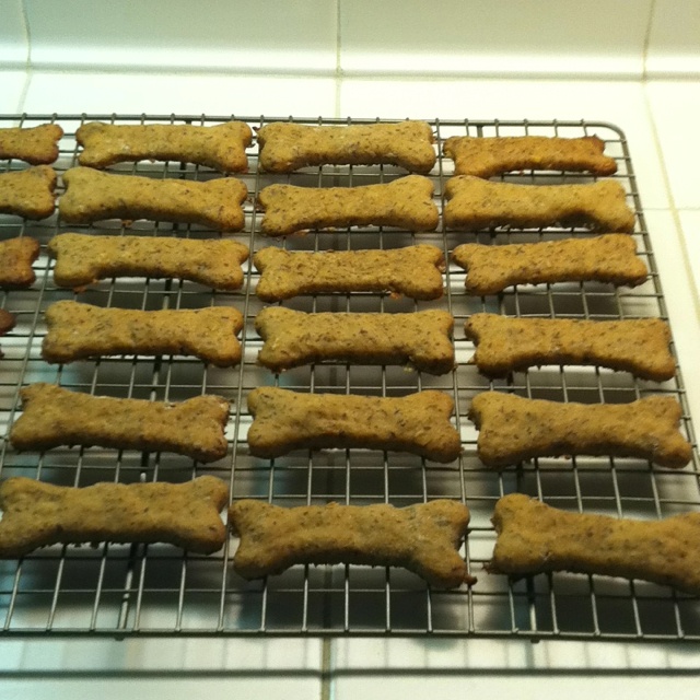 Petsmart Organic Dog Treats Petsmart Organic Dog Treats