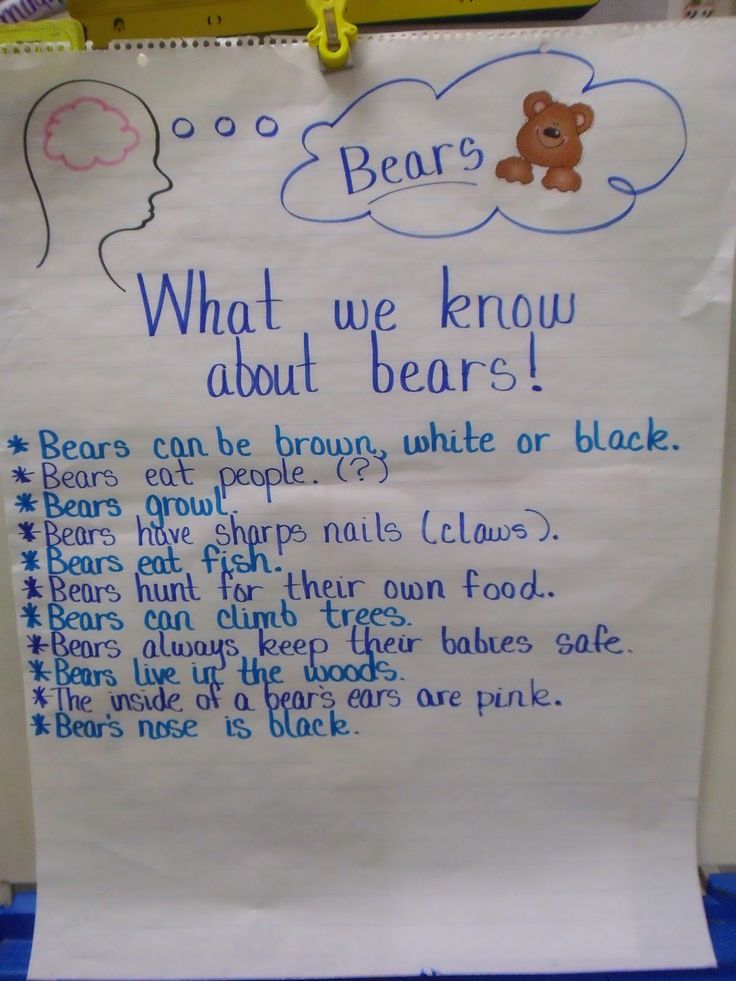 Pin by Sheila Daughtry on Anchor Charts Teddy bear day, Bear birthday