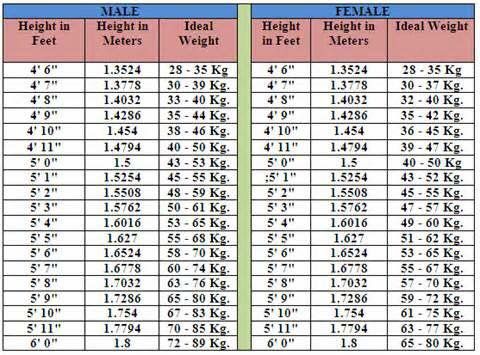 Best 25+ Bmi chart for women ideas on Pinterest Healthy weight - healthy weight chart for women Best 25+ Bmi chart for women ideas on Pinterest Healthy weight - healthy weight chart for women