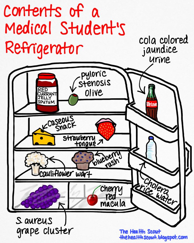 dating a medical student funny This is not to completely dismiss the idea of dating a fellow student other into your life as a medical student the almost doctor's channel partner. dating a medical student funny This is not to completely dismiss the idea of dating a fellow student other into your life as a medical student the almost doctor's channel partner.