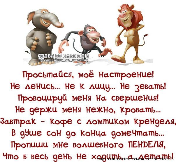 Февраля поделка, картинки для настроения смешные с со стихами