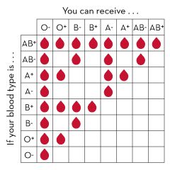 blood chart