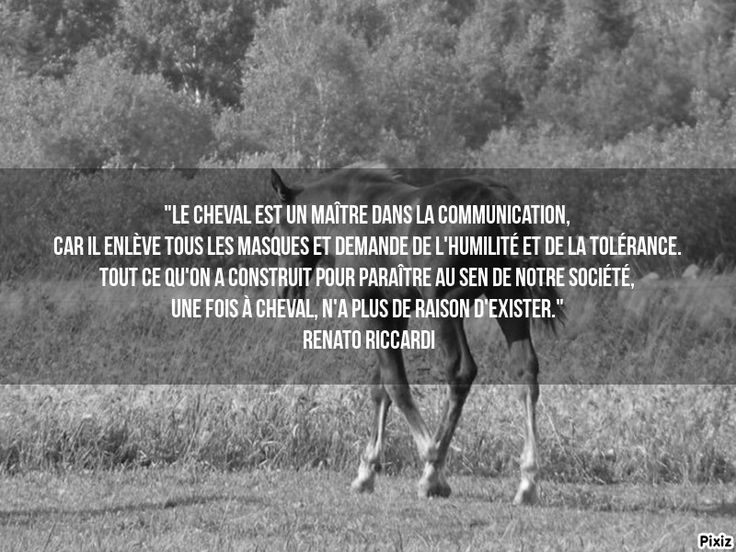 Chevaux Citations Equines Citations Equestres Citations Equitation