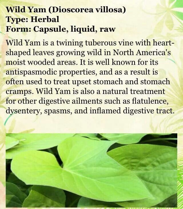 STOMACH CRAMP REMEDY Stomach Cramps Remedy Stomach Cramps Cramp stomach-cramp-remedy-stomach-cramps-remedy-stomach-cramps-cramp
