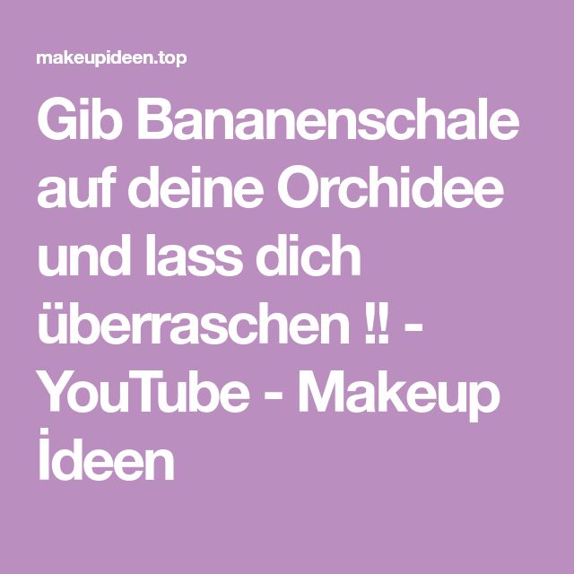 Lass Dich Гјberraschen Text Lass Dich Гјberraschen Text