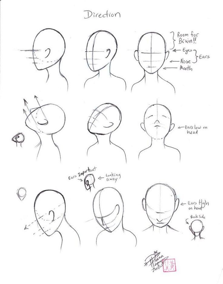 tutorial for head drawing(이미지 포함) | 스케치, 인물화, 그림