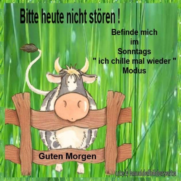 Sonntag morgen bilder lustig