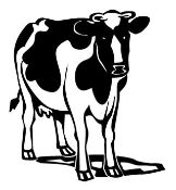 Cow 2 Decal Sticker | Decals stickers, Stickers, Decals