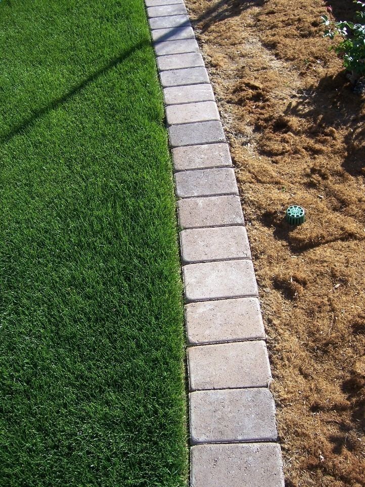 Pin On Best Gardening Tips