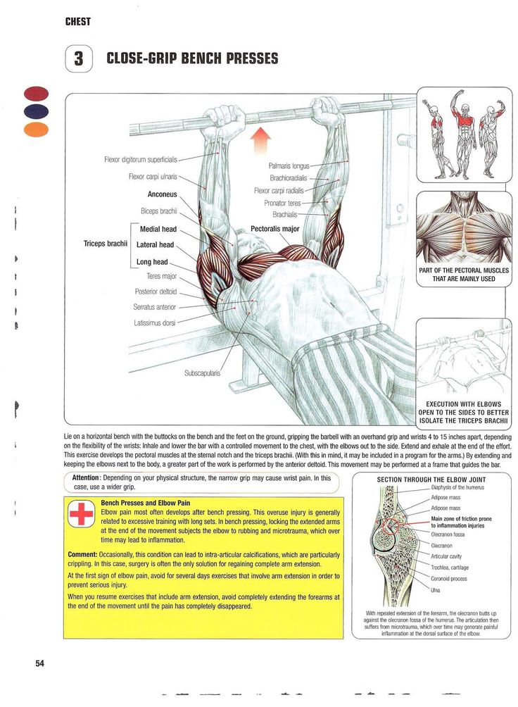 strength training anatomy 3rd edition torrent strength training anatomy 3rd edition torrent