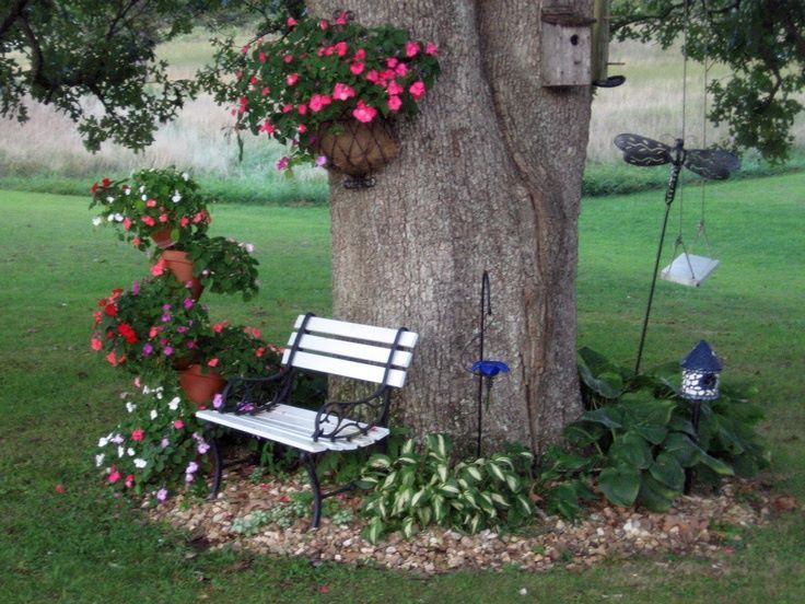 best 25 front yard tree ideas ideas on pinterest landscaping trees front yards and yard landscaping - Garden Ideas Under Trees best 25 front yard tree ideas ideas on pinterest landscaping trees front yards and yard landscaping - Garden Ideas Under Trees