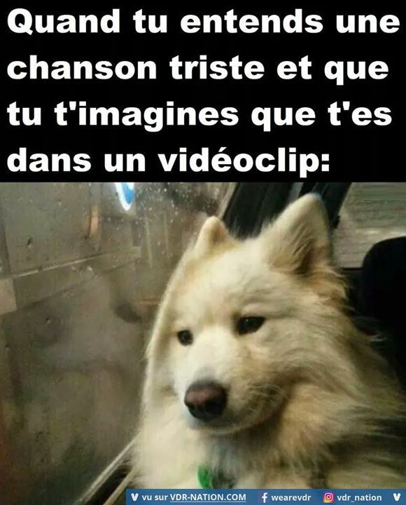 images droles - Image