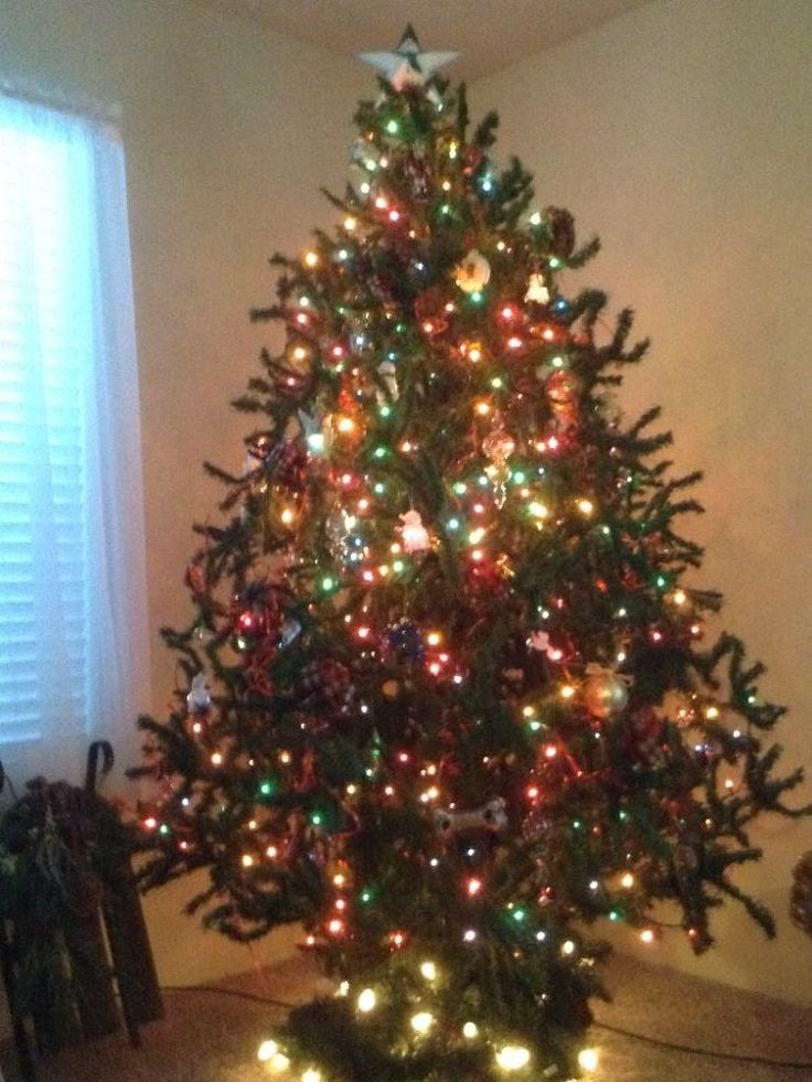 best 25 after christmas ideas on pinterest january 2 best 25 after christmas ideas on pinterest january 2